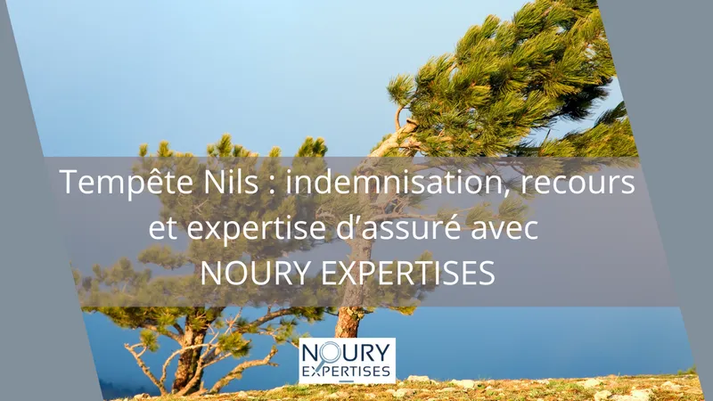 Dégâts sur habitation après la tempête Nils en Nouvelle-Aquitaine – expertise d’assuré NOURY EXPERTISES